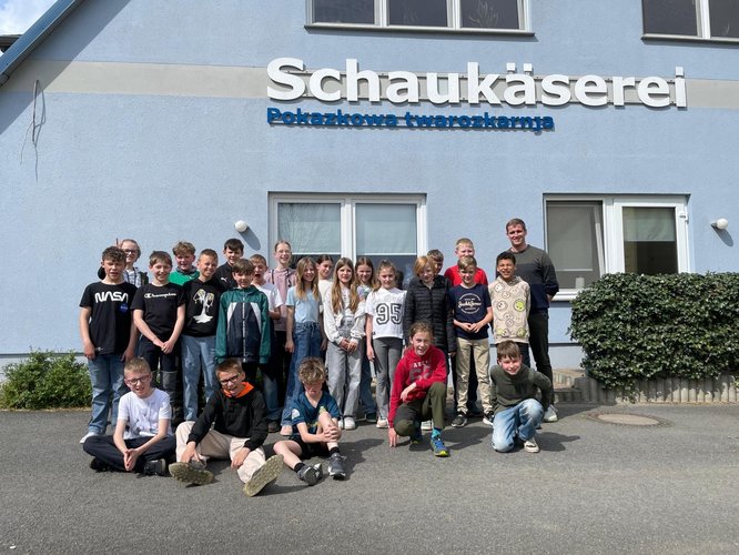Was machen Kühe eigentlich in ihrer Freizeit?