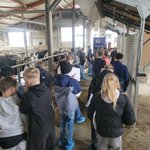 Bild in der Galerie