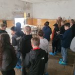 Bild in der Galerie